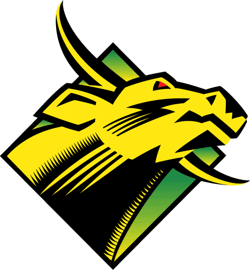 South Florida Bulls 1997-2002 Primary Logo iron on transfers for fabric